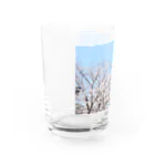 basthyのさくら Water Glass :left