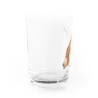 愛犬太郎のグッズの黄昏太郎【柴犬】 Water Glass :left