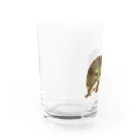ゲコゲコンのアメフクラガエルくん Water Glass :left