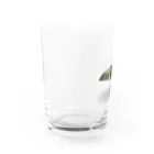 Kanshadoの鯉 Water Glass :left