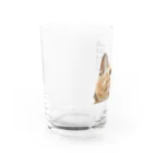 岡本なう - okamoto now -の岡本にゃうグッズ Water Glass :left