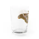 さちこの生物雑貨のシンジュサン Water Glass :left