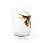 バカロットはこっぱみじんこのオオスズメバチ Water Glass :left