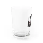 南極商店のケープペンギン Water Glass :left