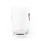 まめるりはことりの色合いが綺麗なゴシキセイガイインコちゃん【まめるりはことり】 Water Glass :left