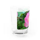 namaste99の蓮の花 Water Glass :left