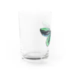 シヲのアレキサンドラトリバネアゲハ Water Glass :left