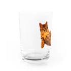Elegant CatのElegant Cat ① グラス左面