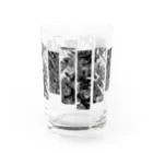 Kumibarcalow_のギャラリー Water Glass :left