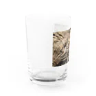 神田🅙のカクトクリヌス Water Glass :left