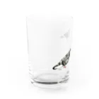 魚の目のお店のハト（スケルトン） Water Glass :left