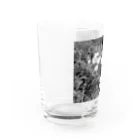 SONOTANOMONOのSONOTANOFLOWER Water Glass :left