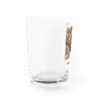 ますのコロと小町 Water Glass :left