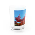 たむっち!の紅葉 Water Glass :left