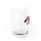 ひらりのうさりんごと散歩するいぬ Water Glass :left