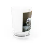 猫ちゃん犬ちゃんのご飯稼ぎの小梅母さんと茂平君のコップ Water Glass :left