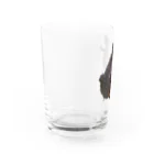 林 邦明 (クニさん)の【ミシシッピ アカミミガメ】(♂)の名前イッチー グッズ Water Glass :left