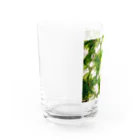 Parfume-weaverのポトス Water Glass :left