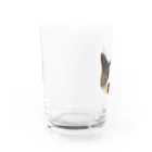 tentenのtentencat😾 Water Glass :left