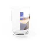 ❣️コールダックのKちゃん❣️のコールダックのKちゃんやで！② Water Glass :left