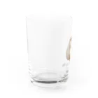 まる🍙  うまよし🍙まるのぼく。しらす(｡∀゜) Water Glass :left