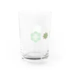 cotton-berry-pancakeの多肉植物 Water Glass :left