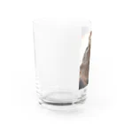 KokkotonakamatatiのOctodon　でーちゃん Water Glass :left