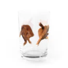 701の尻をなめる猫 Water Glass :left