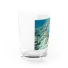 rion02の沖縄　魚T Water Glass :left