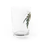 ぴーちゃんのベゴニア ポリロエンシス 熱帯植物 Water Glass :left