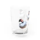 🐦🦆XL文鳥のXL文鳥②ボス　すやすや分身の術 Water Glass :left