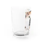 きな茶商店のドヤッとドアップ茶々 Water Glass :left