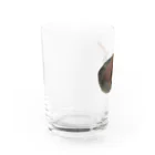 オッサン‘s ショップの手作り水羊羹w んまいw Water Glass :left