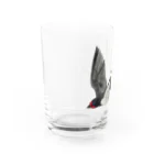 Coshi-Mild-Wildのツバメ Water Glass :left