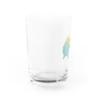 Talkingのセキセイインコ Water Glass :left