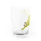 masumi maedaのオパビニア Water Glass :left