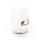 Lichtmuhleのふれあいモルモット01カラー Water Glass :left