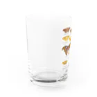 さちこの生物雑貨のヤママユガ科のなかま Water Glass :left