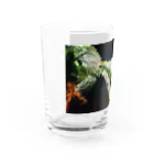 甘党さんの桜 Water Glass :left