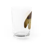 怠惰なレーズンの　来世のポムポム Water Glass :left