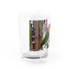 ピッチョコ倶楽部「momo＆kiraku」のシロハラとズグロ Water Glass :left