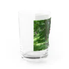 photo-kiokuのフォレスト Water Glass :left