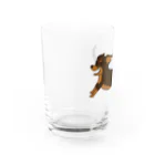 BlumeBellのチワックス・チョコタン Water Glass :left