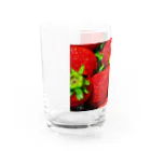 SyusuIの苺盛り Water Glass :left