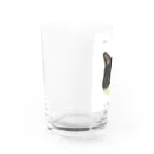 キースケのハチワレネコ Water Glass :left