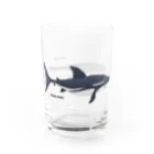 自給自足のモササウルスとメガロドン Water Glass :left