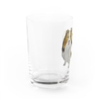 Coshi-Mild-Wildのシェルティですよ💕 Water Glass :left