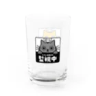 chi-bitのじーっとみる猫・猫さま監視中！（トラ猫&灰色猫） Water Glass :left