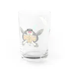 ありまる商店の泳ぐスッポンモドキ Water Glass :left