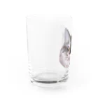 ねこがいるからがんばれる！のまんぷくちゃん Water Glass :left